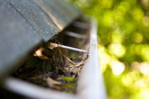 gutters clogged and in need of cleaning