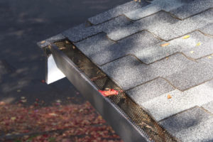 gutter guards made out of mesh to prevent leaves from getting stuck