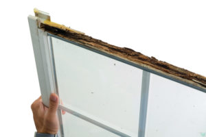 a person holding a rotten wooden window frame