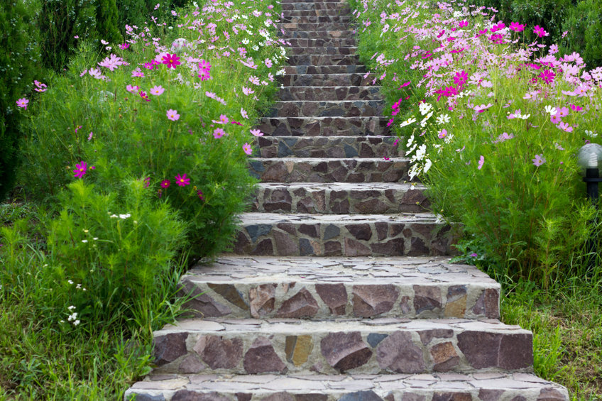 rock stairs surrounded by beautiful flowers