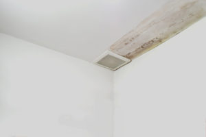 moisture in the ceiling showing there is damage in the roof